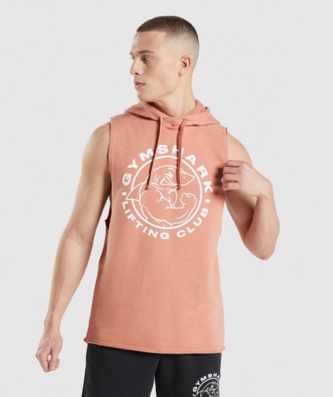 Bluzy Z Kapturem Gymshark Legacy Drop Arm Męskie Różowe | PL 914QSB